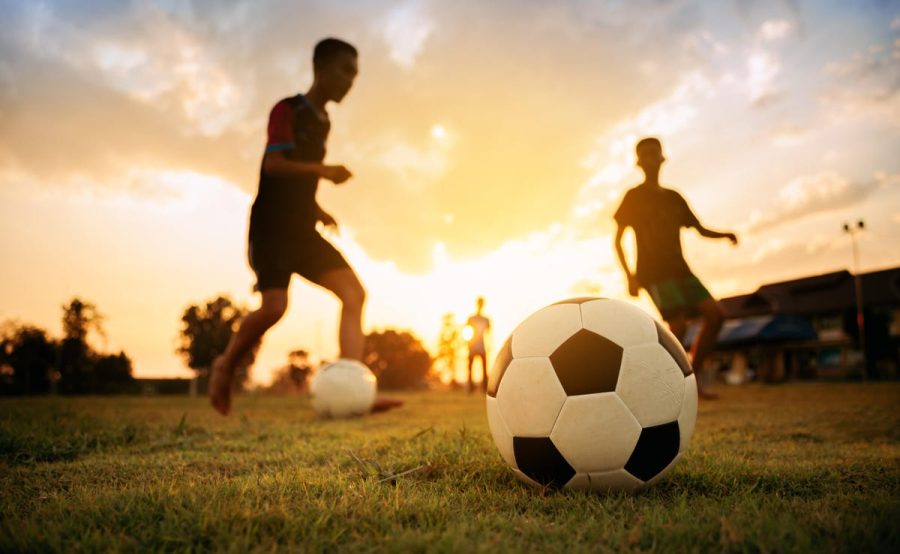 Harnessing Passion: The Importance of Sports in Our Lives